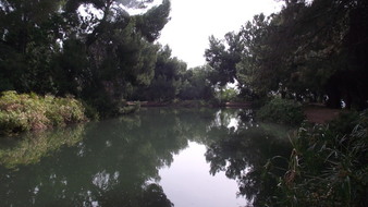 Enlarge photo 76
