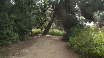 Enlarge photo 77