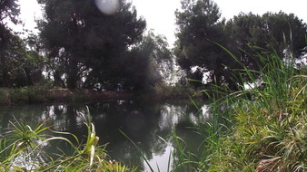 Enlarge photo 78