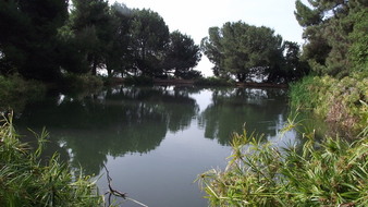 Ernest Debs Park -Highland Park
