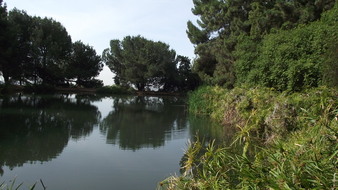 Enlarge photo 80