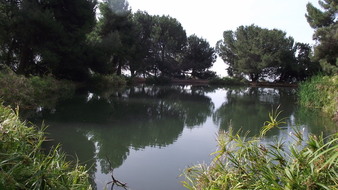 Enlarge photo 81