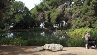 Enlarge photo 82