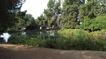 Enlarge photo 83