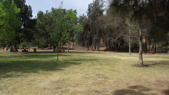 Enlarge photo 84