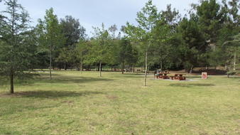 Enlarge photo 85