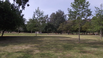 Enlarge photo 86