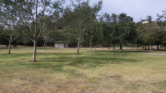 Enlarge photo 87