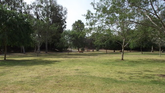 Enlarge photo 88