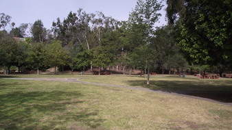 Enlarge photo 89