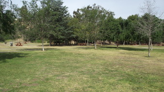 Enlarge photo 91