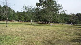 Enlarge photo 92