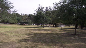 Enlarge photo 93