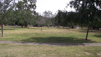 Enlarge photo 94