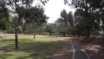 Enlarge photo 95