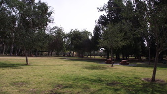 Enlarge photo 96