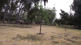 Enlarge photo 97