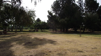 Enlarge photo 98