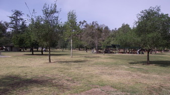 Enlarge photo 100