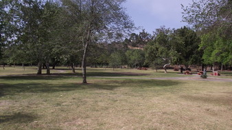 Enlarge photo 102