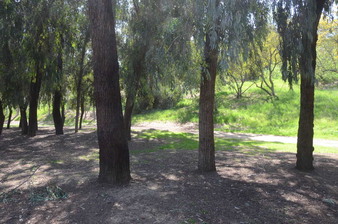 Enlarge photo 9