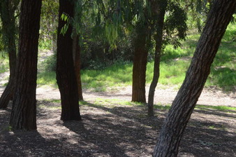 Enlarge photo 15