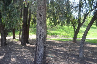 Enlarge photo 16