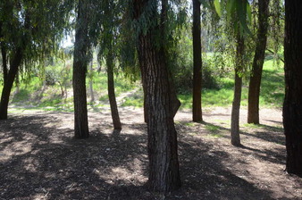 Enlarge photo 19