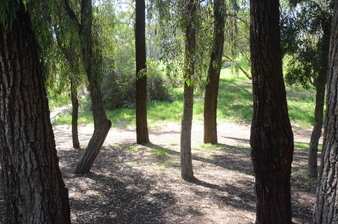 Enlarge photo 20