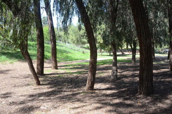 Enlarge photo 23