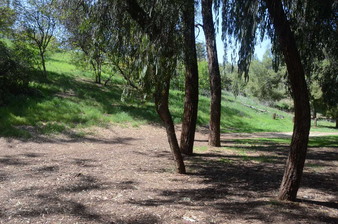 Enlarge photo 24