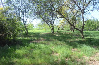 Enlarge photo 25