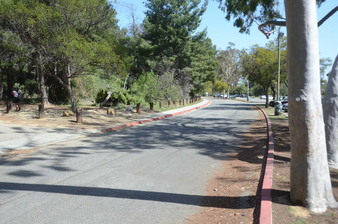 Enlarge photo 27