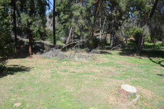 Enlarge photo 30