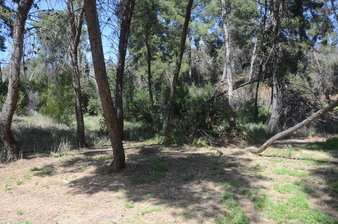 Enlarge photo 34