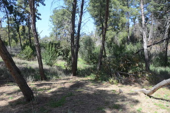 Enlarge photo 35