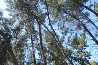 Enlarge photo 38