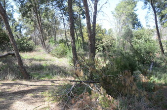 Enlarge photo 39