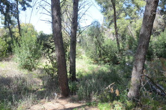 Enlarge photo 40
