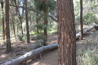 Enlarge photo 43