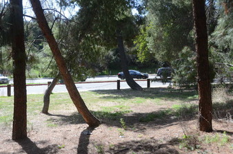 Enlarge photo 47
