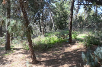 Enlarge photo 49