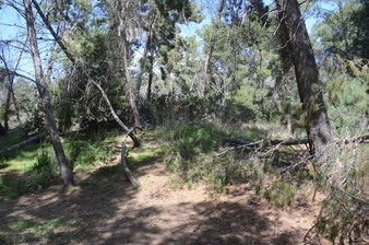 Enlarge photo 53