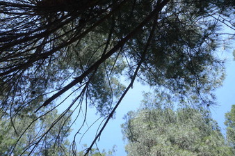 Enlarge photo 54