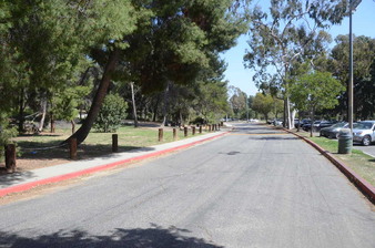 Enlarge photo 59