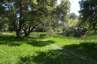 Enlarge photo 4