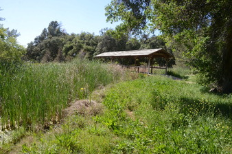 Enlarge photo 11