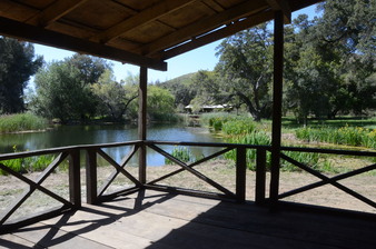 Enlarge photo 27