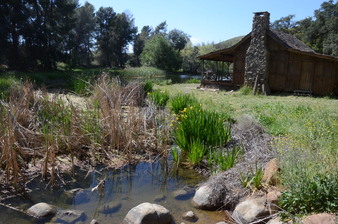 Enlarge photo 33