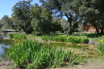 Enlarge photo 36